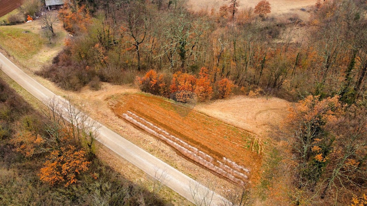 Domijanići, Žminj, 1.564m2