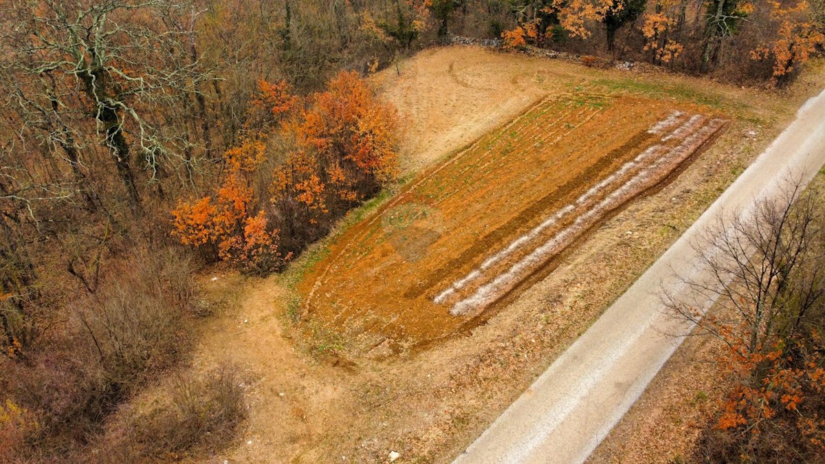 Domijanići, Žminj, 1.564m2