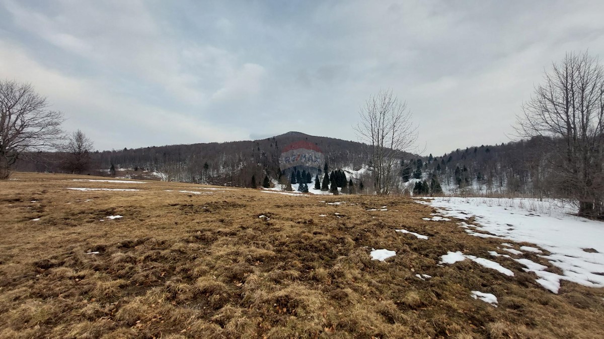 Begovo Razdolje, Mrkopalj, 15.000m2