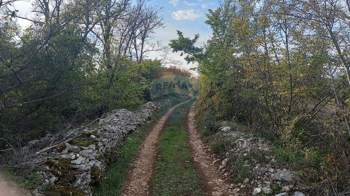 Fažana, 7.970m2