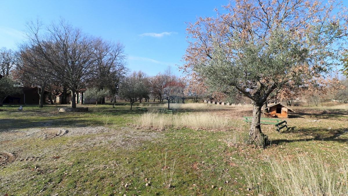 Poreč okolica, Poreč, 1.034m2