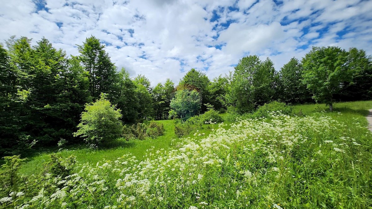 Stari Laz, Ravna Gora, 2.331m2