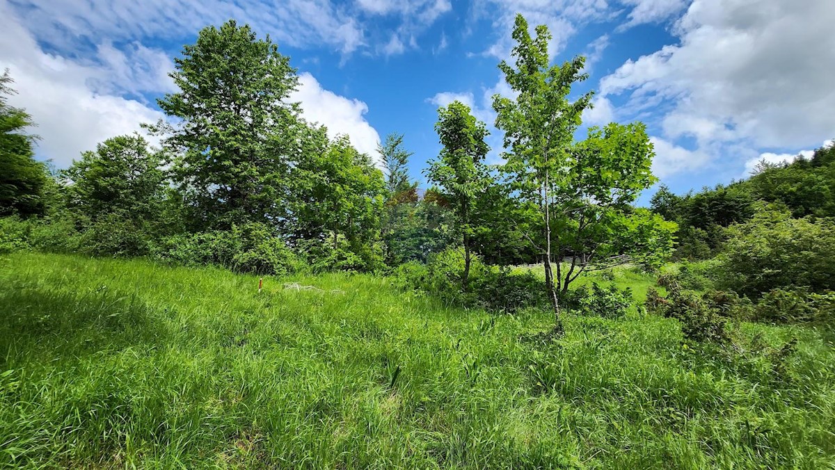 Stari Laz, Ravna Gora, 2.331m2