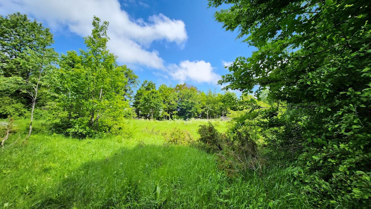 Stari Laz, Ravna Gora, 2.331m2