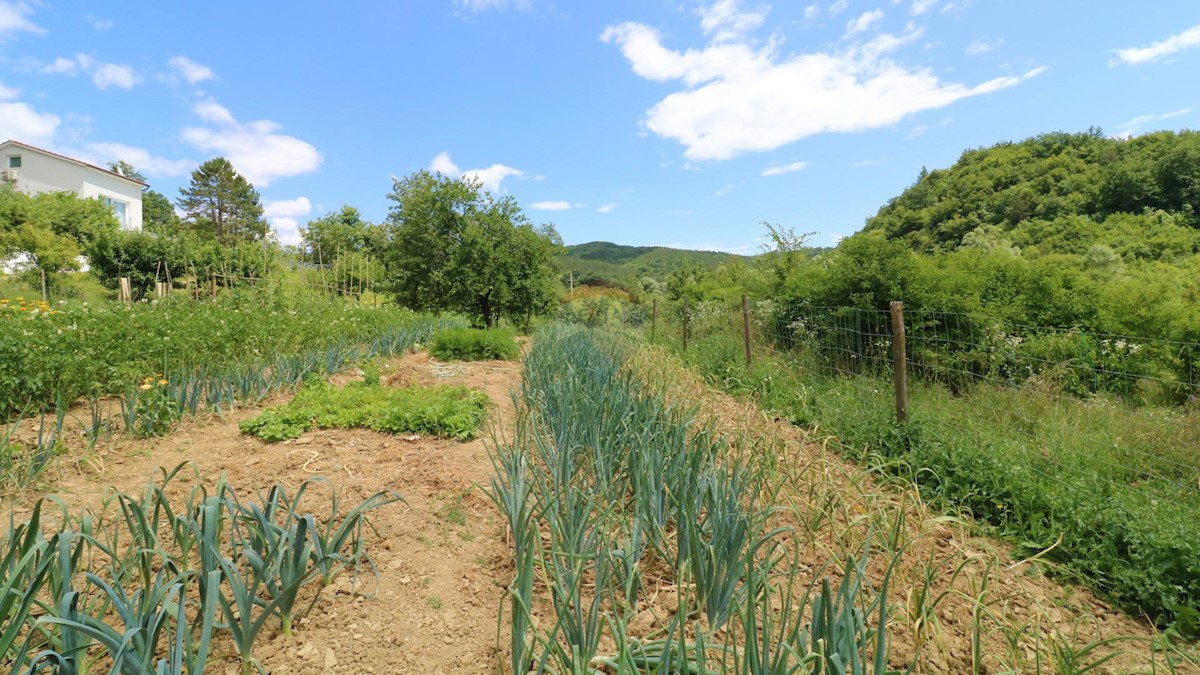 Hiša Zarečje, Pazin - Okolica, 100m2