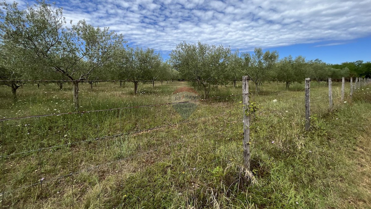 Stavbno zemljišče Labinci, Kaštelir-Labinci, 8.841m2