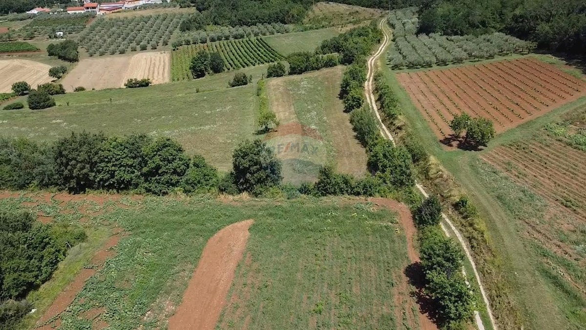 Stavbno zemljišče Vižinada, 19.280m2