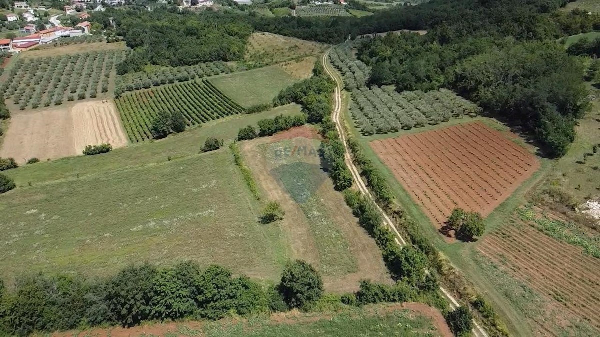 Stavbno zemljišče Vižinada, 19.280m2