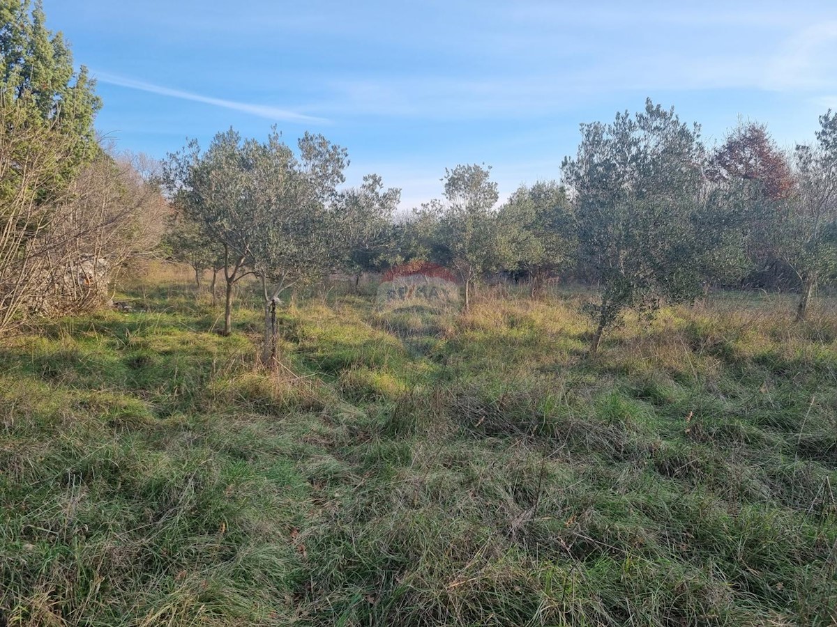 Stavbno zemljišče Krnica, Marčana, 1.309m2