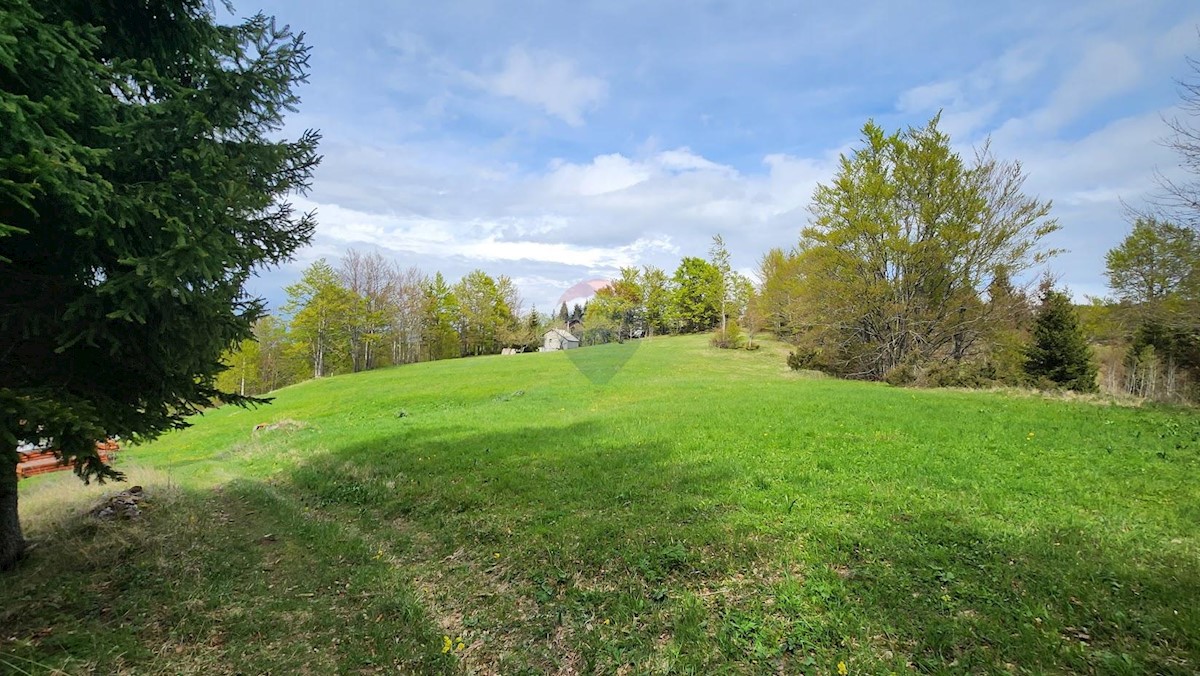 Stavbno zemljišče Stari Laz, Ravna Gora, 2.825m2