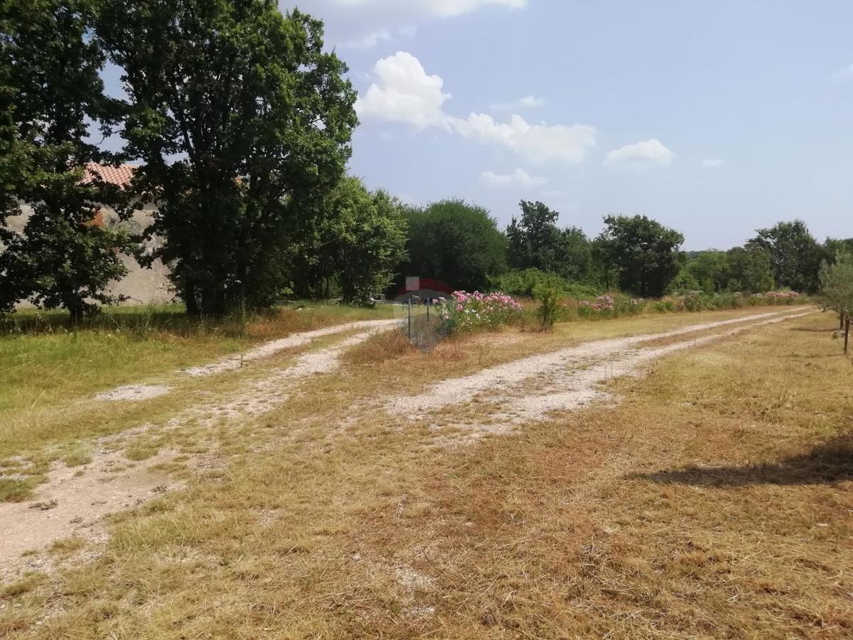 Stavbno zemljišče Vodnjan, 24.680m2