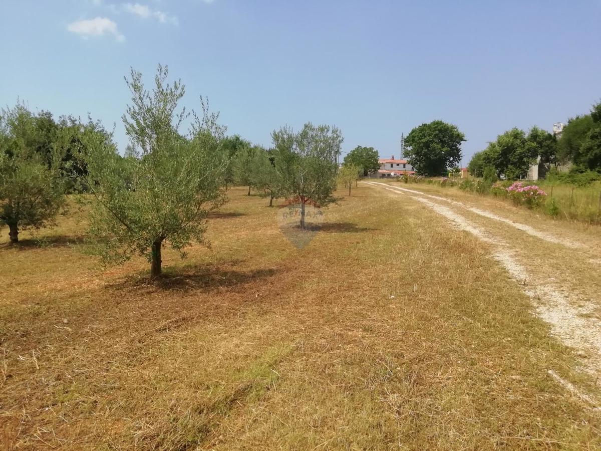 Stavbno zemljišče Vodnjan, 24.680m2