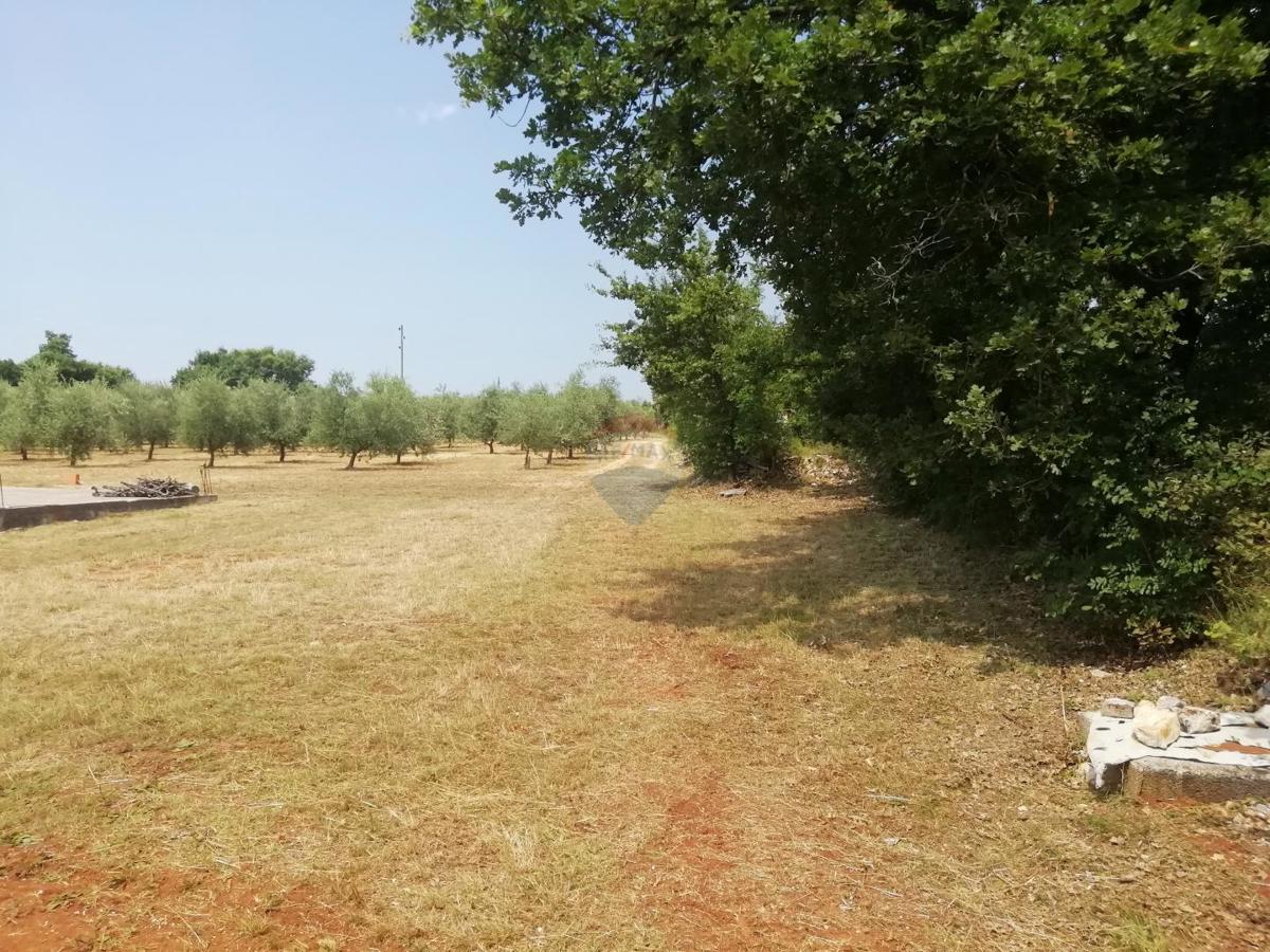 Stavbno zemljišče Vodnjan, 24.680m2