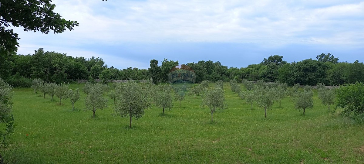 Stavbno zemljišče Vodnjan, 24.680m2