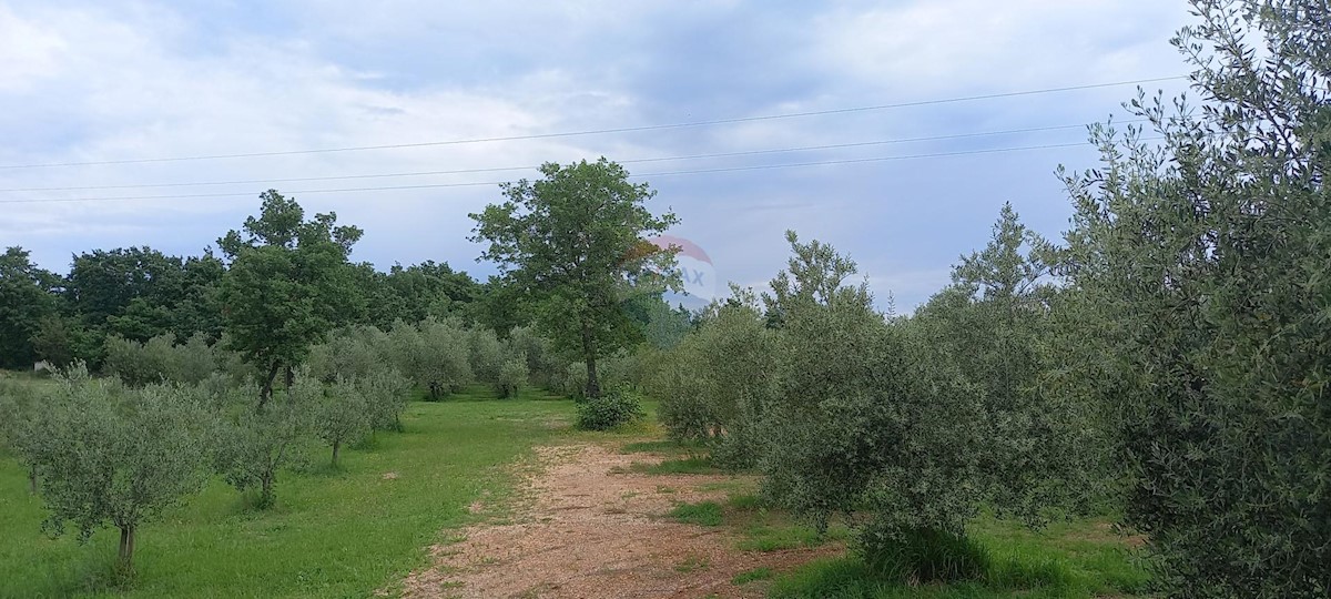 Stavbno zemljišče Vodnjan, 24.680m2