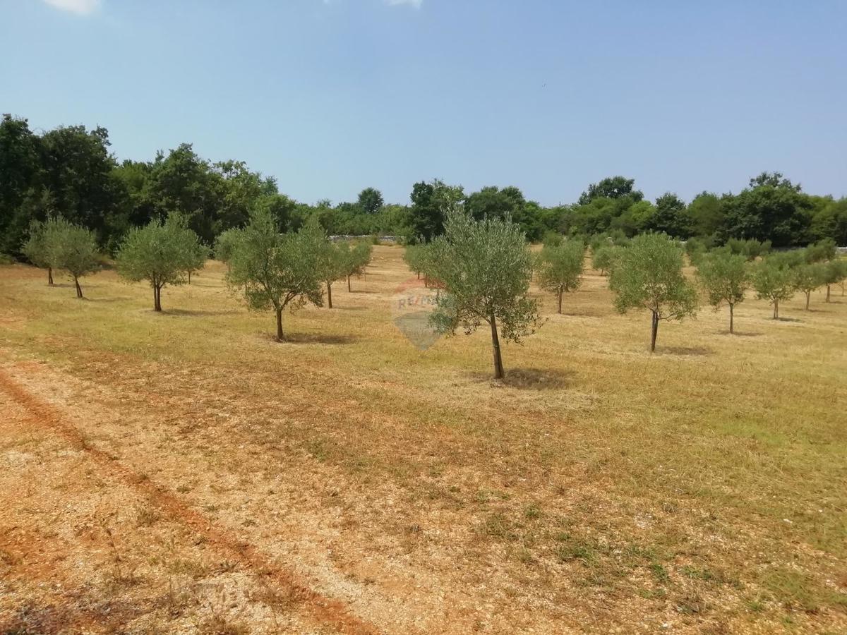 Stavbno zemljišče Vodnjan, 24.680m2