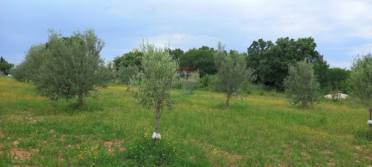 Stavbno zemljišče Vodnjan, 24.680m2