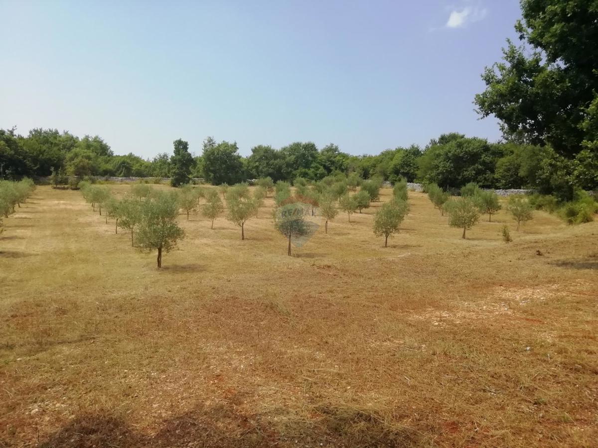 Stavbno zemljišče Vodnjan, 24.680m2