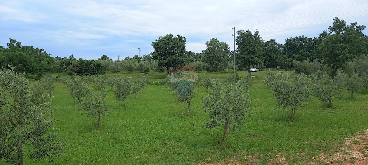 Stavbno zemljišče Vodnjan, 24.680m2