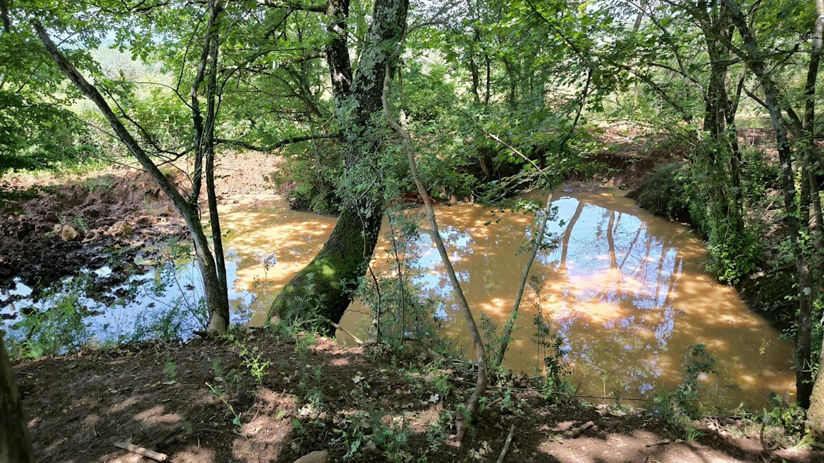 Stavbno zemljišče Kaštelir, Kaštelir-Labinci, 24.000m2