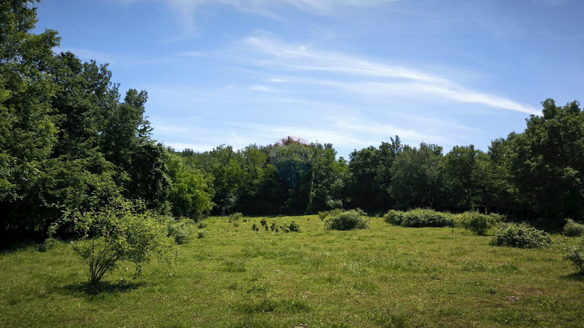 Stavbno zemljišče Kaštelir, Kaštelir-Labinci, 24.000m2