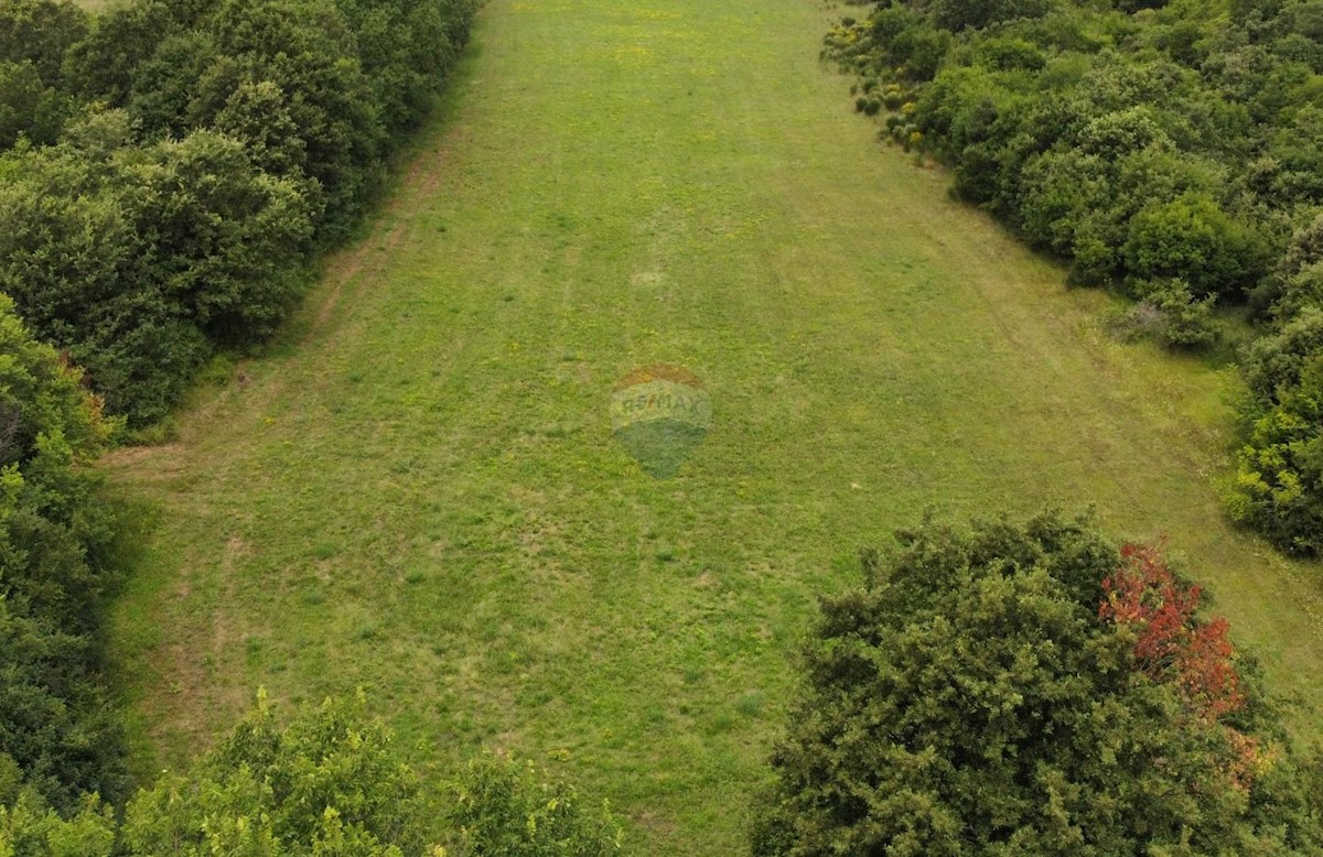 Stavbno zemljišče Bale, 8.400m2