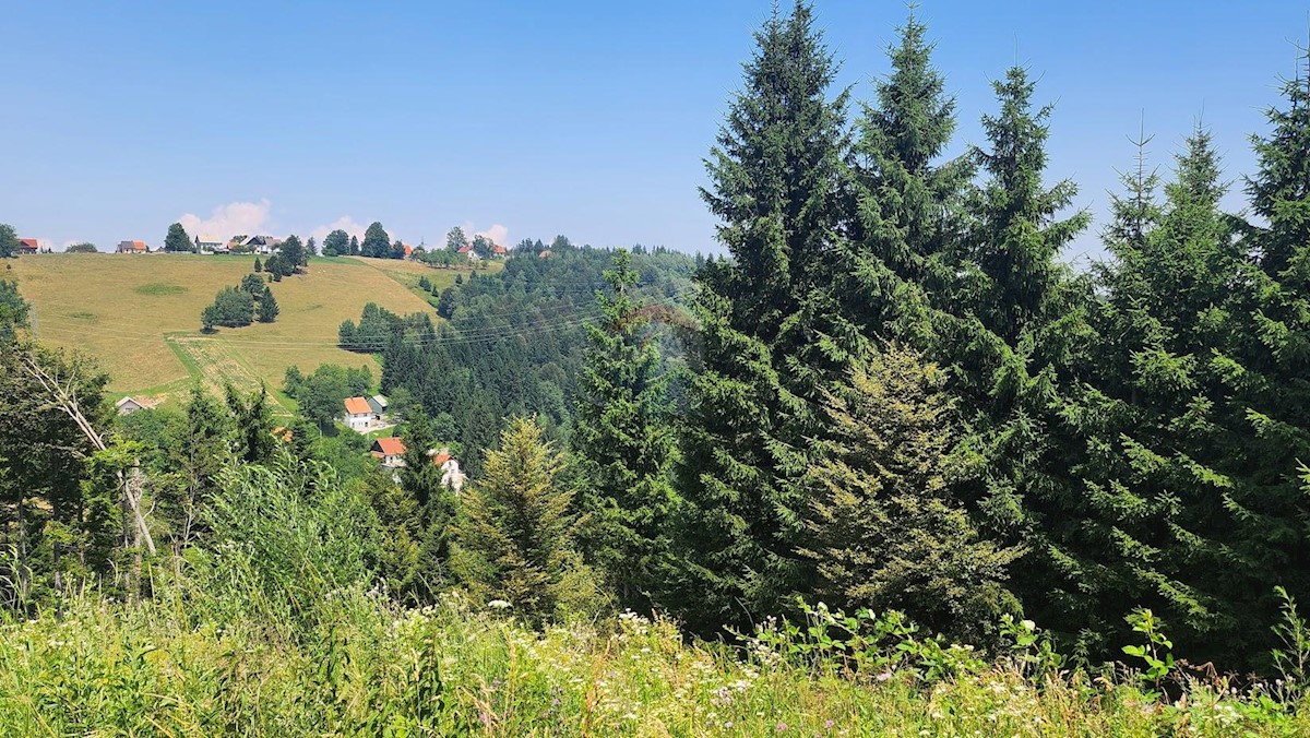 Stavbno zemljišče Ravna Gora, 18.889m2