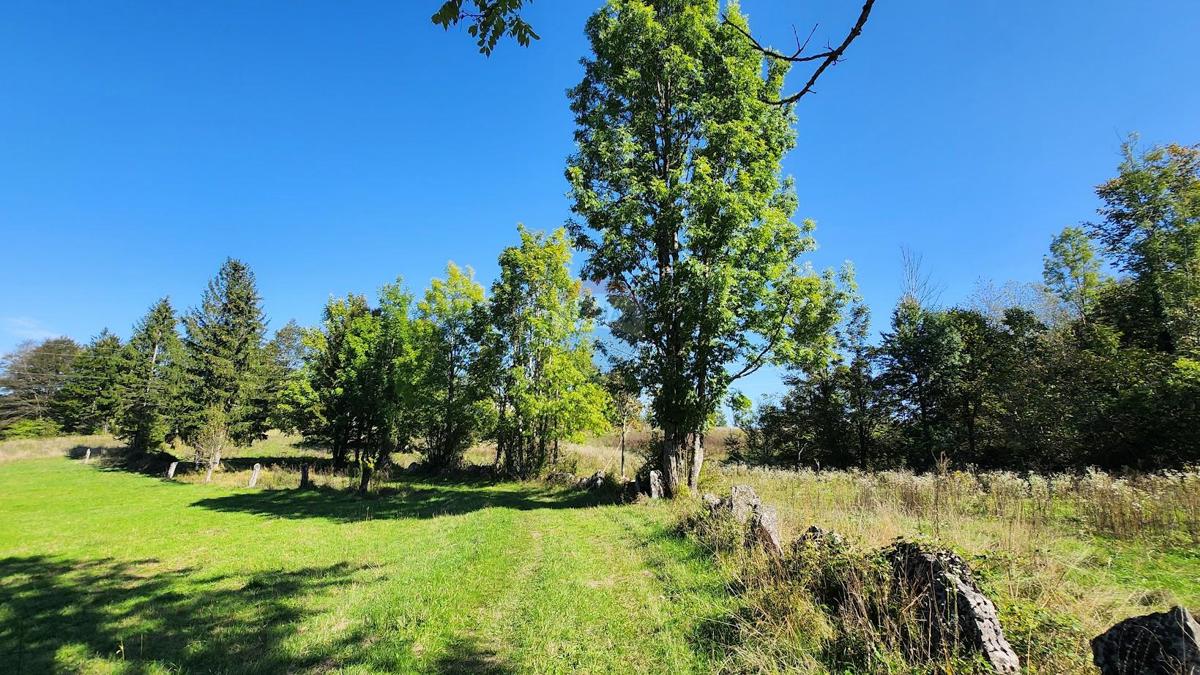 Stavbno zemljišče Jablan, Vrbovsko, 5.990m2