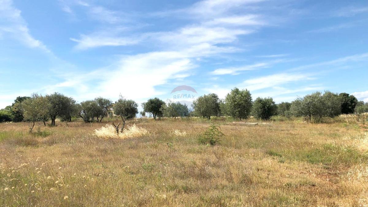 Stavbno zemljišče Umag, 2.102m2