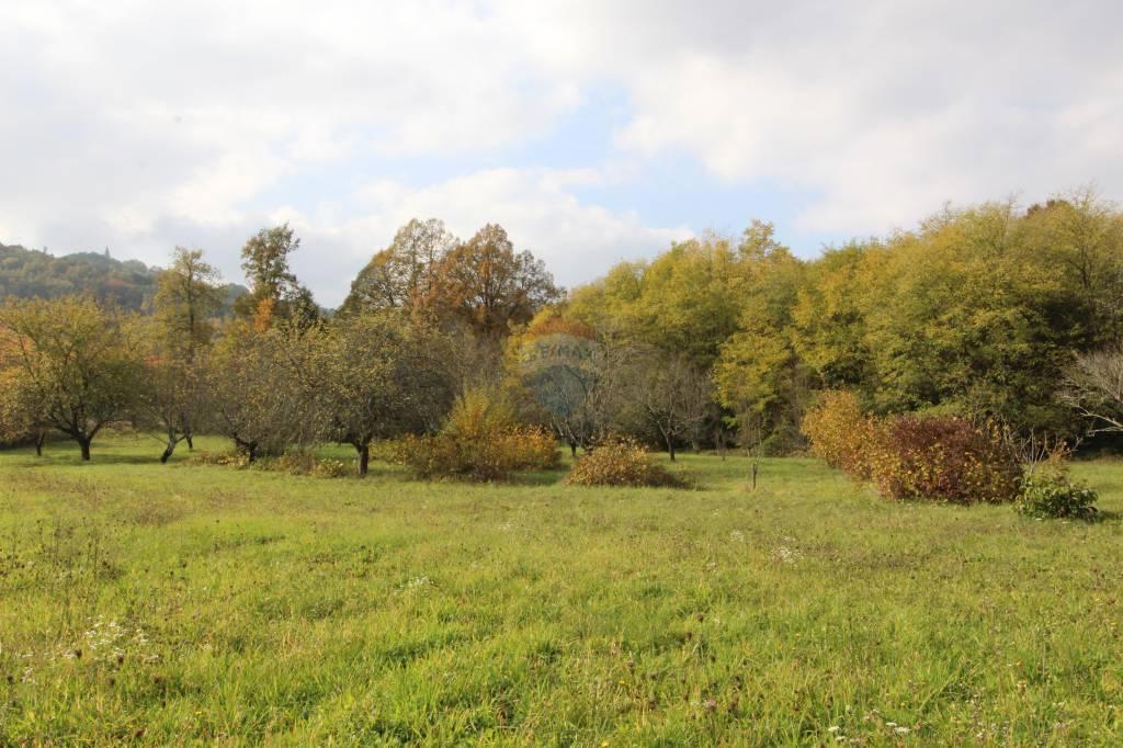 Hiša Lindar, Pazin - Okolica, 140m2