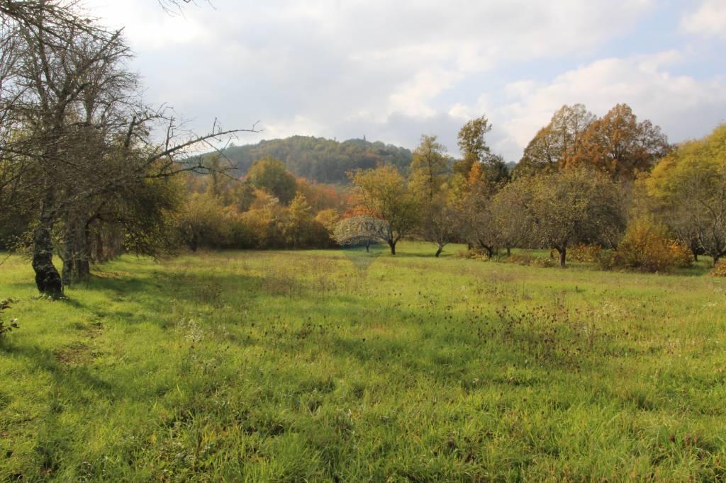 Hiša Lindar, Pazin - Okolica, 140m2