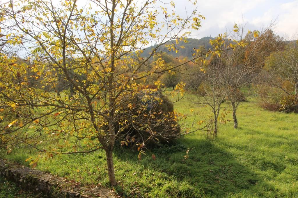 Hiša Lindar, Pazin - Okolica, 140m2