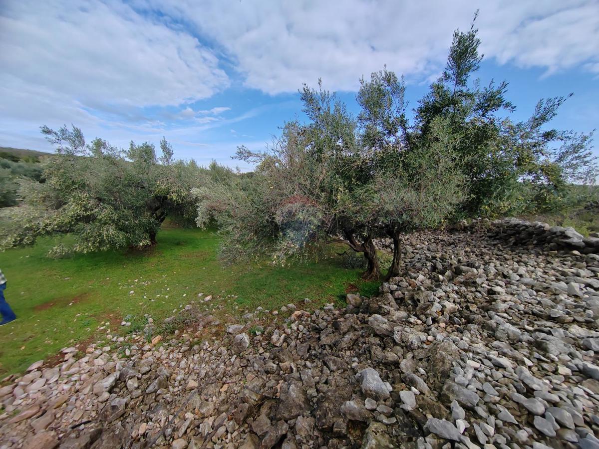 Stavbno zemljišče Kornić, Krk, 1.130m2