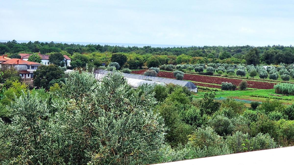 Hiša Sveta Marija na Krasu-dio, Umag, 280m2