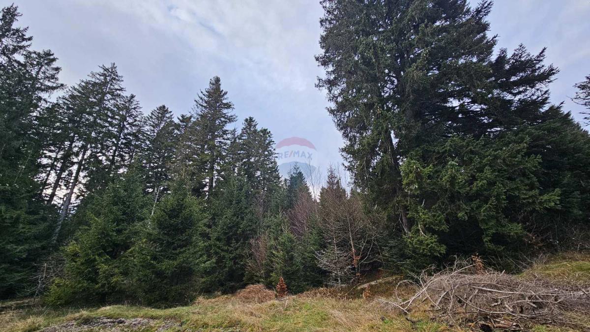 Stavbno zemljišče Sunger, Mrkopalj, 9.500m2