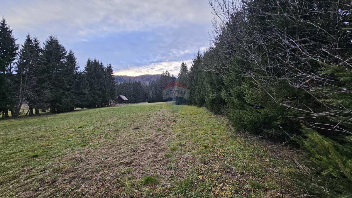 Stavbno zemljišče Sunger, Mrkopalj, 9.500m2