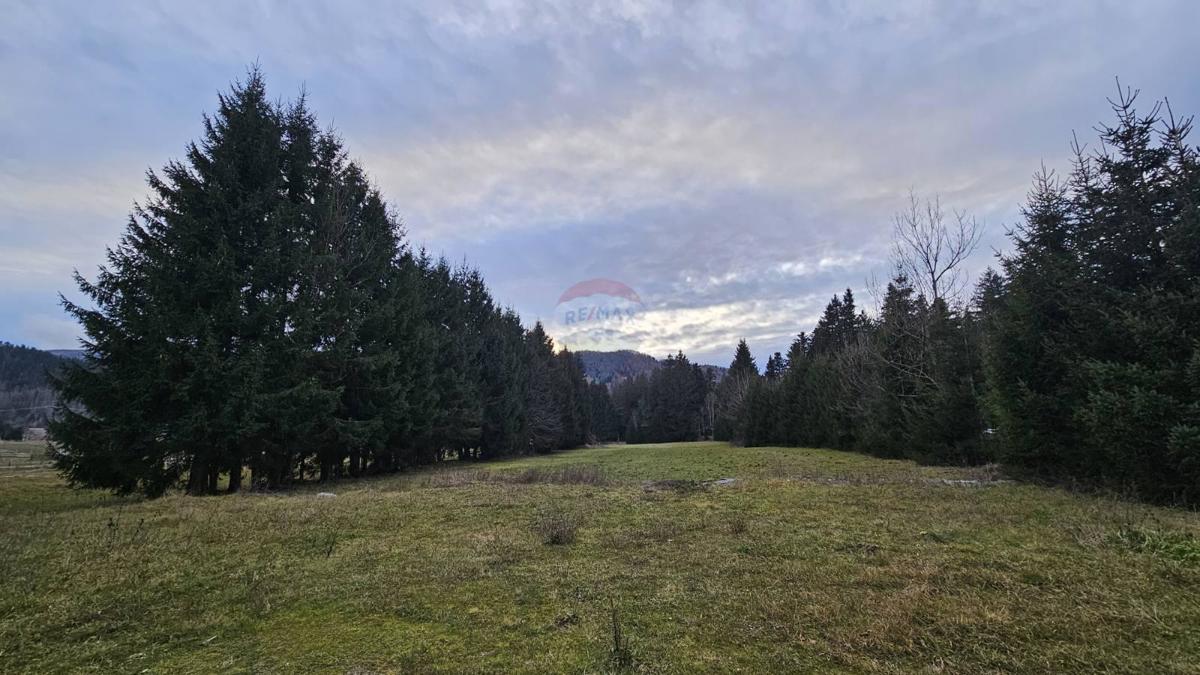 Stavbno zemljišče Sunger, Mrkopalj, 9.500m2