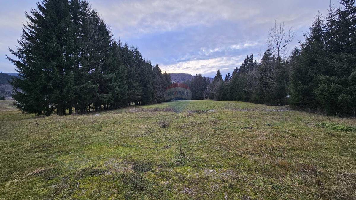 Stavbno zemljišče Sunger, Mrkopalj, 9.500m2