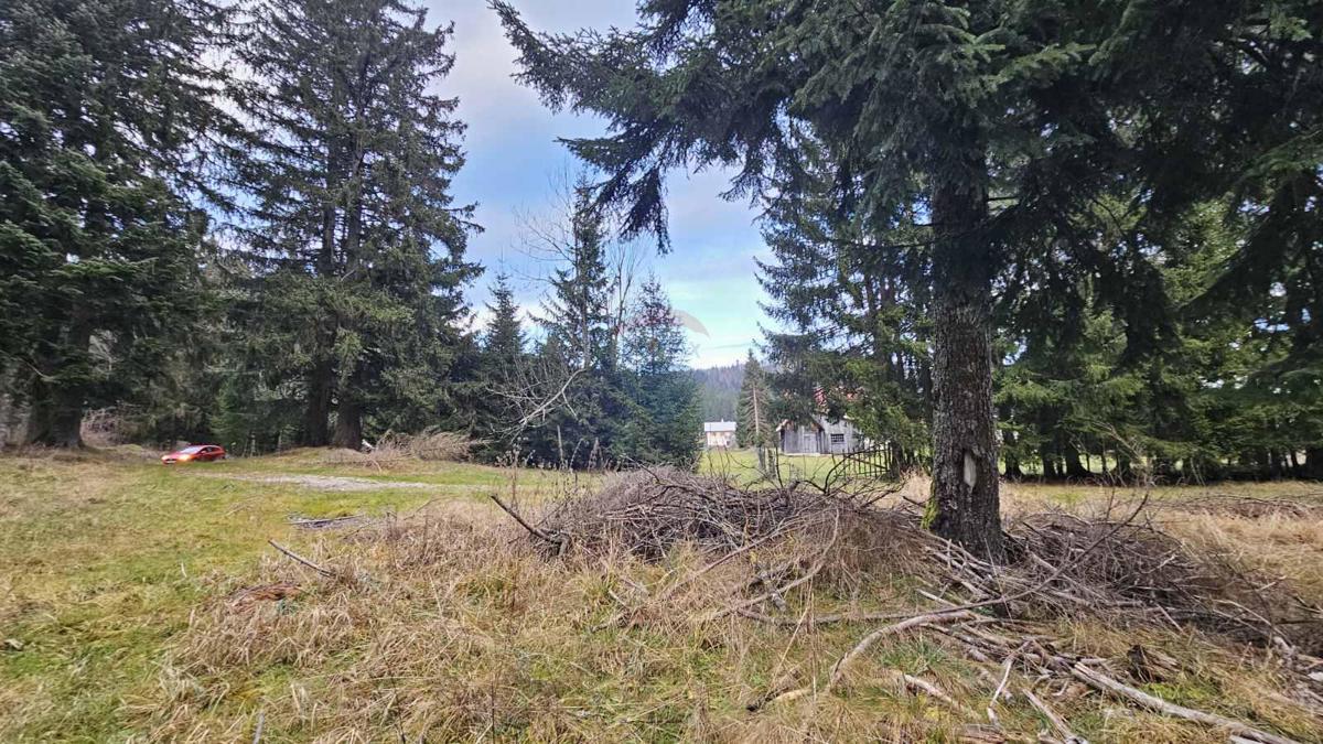Stavbno zemljišče Sunger, Mrkopalj, 9.500m2