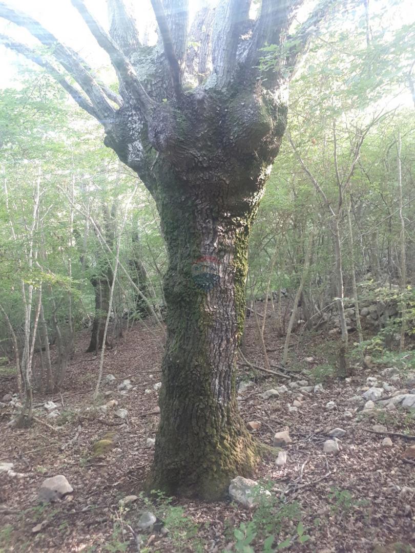 Stavbno zemljišče Garica, Vrbnik, 34,52m2