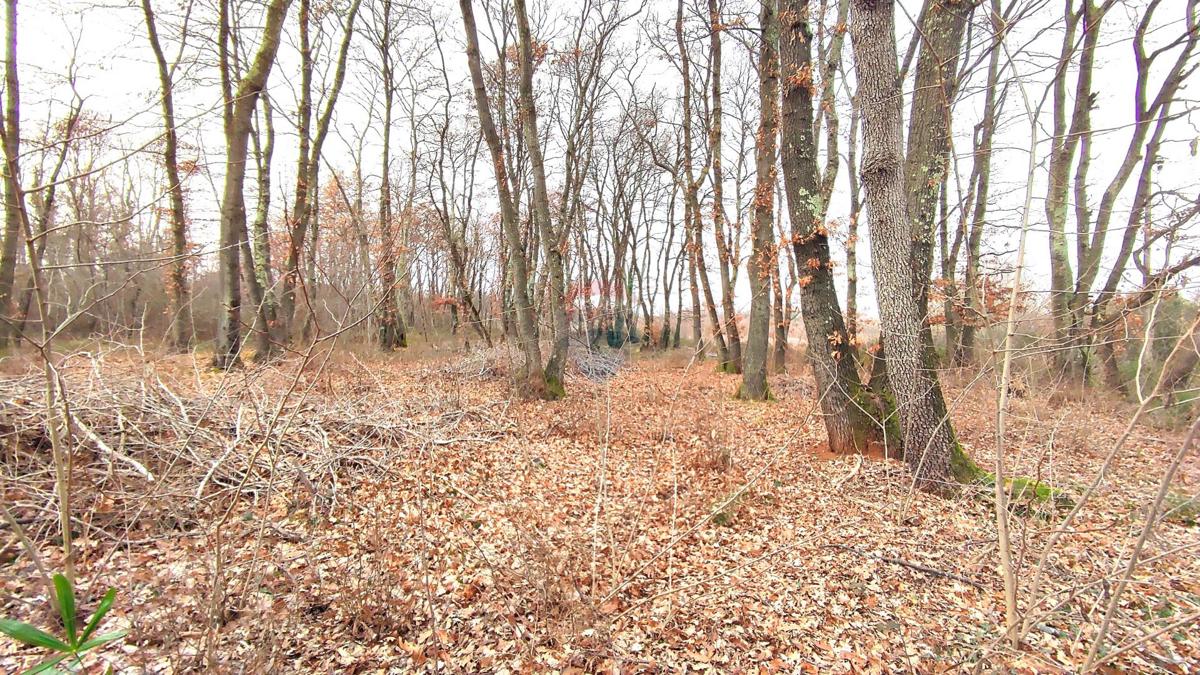 Stavbno zemljišče Umag, 6.273m2