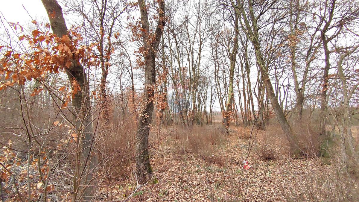 Stavbno zemljišče Umag, 6.273m2