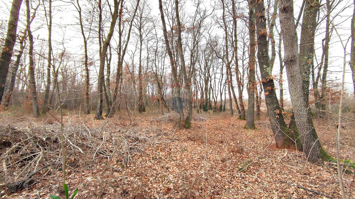 Stavbno zemljišče Umag, 6.273m2
