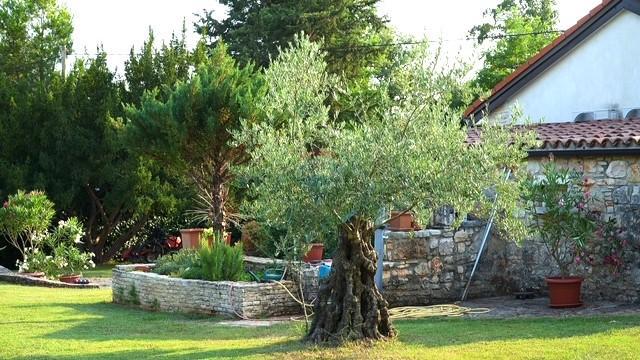 Istra, Lovrečica - Enonadstropna hiša z velikim vrtom
