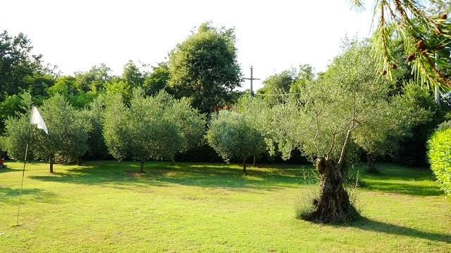 Istra, Lovrečica - Enonadstropna hiša z velikim vrtom