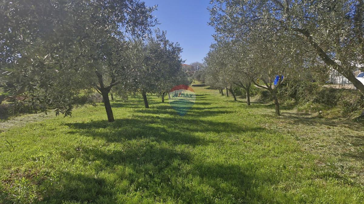 Stavbno zemljišče Peruški, Marčana, 493m2