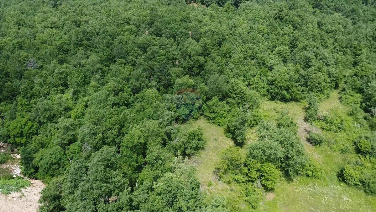 Stavbno zemljišče Sveti Ivan, Višnjan, 44.336m2