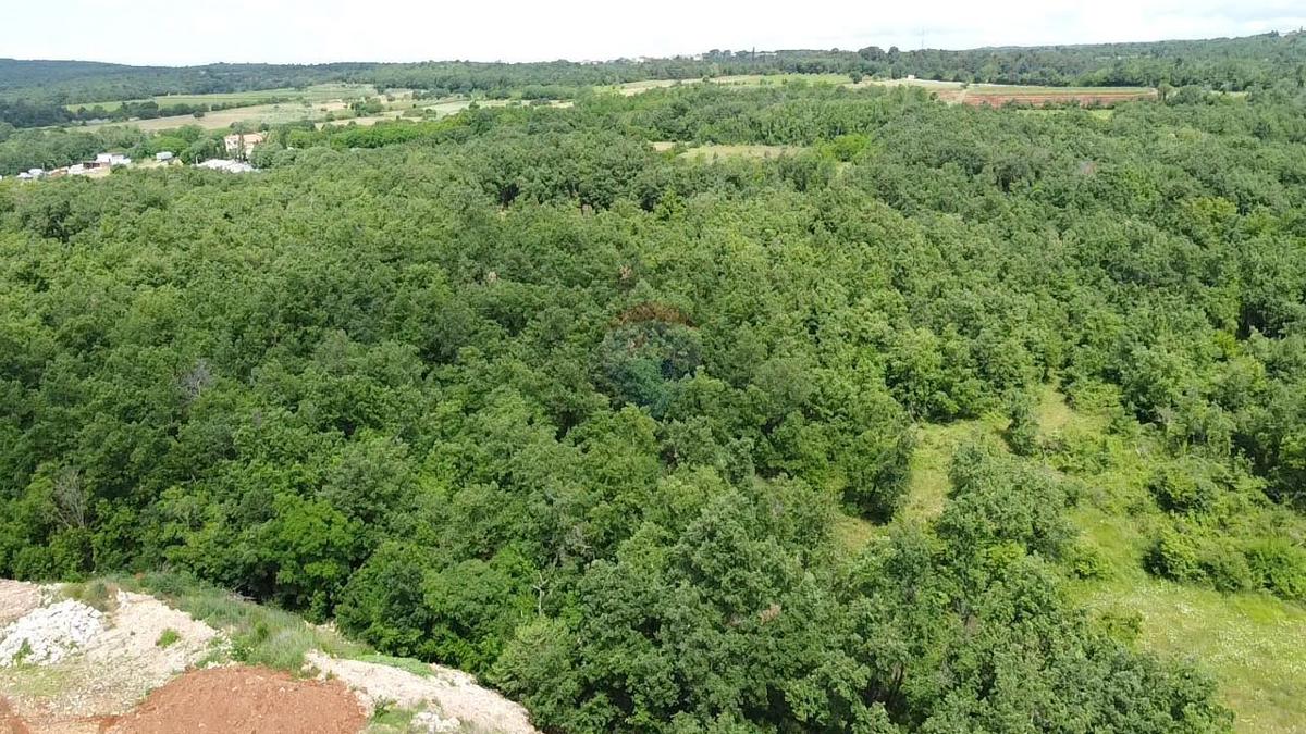 Stavbno zemljišče Sveti Ivan, Višnjan, 44.336m2