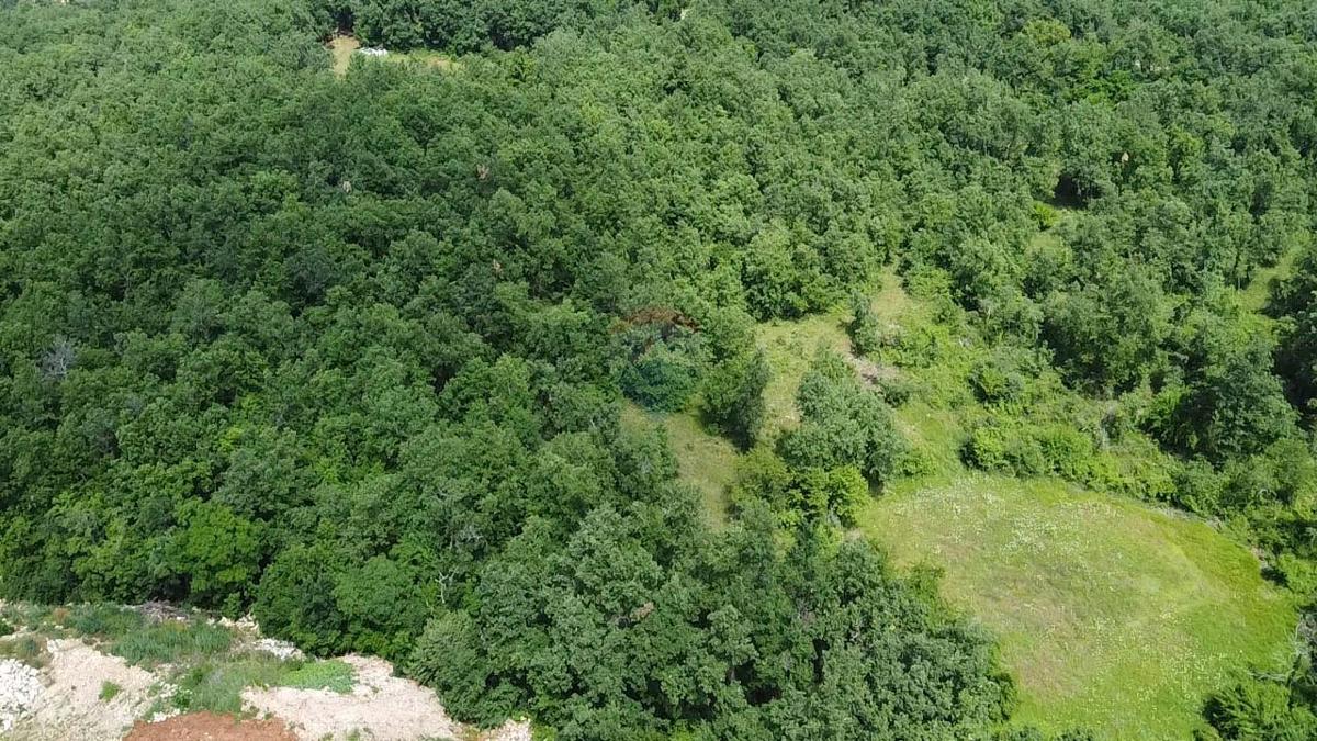Stavbno zemljišče Sveti Ivan, Višnjan, 44.336m2