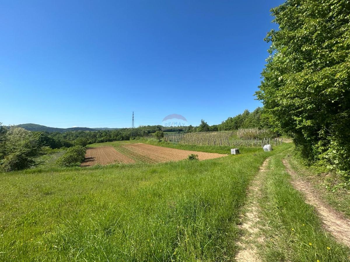 Stavbno zemljišče Vrh, Buzet, 1.630m2